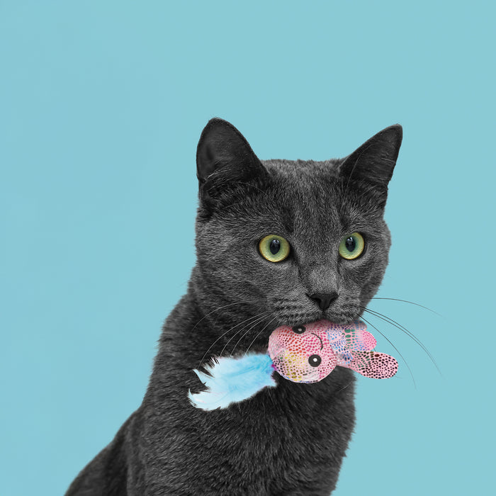 ユーゴー　猫用おもちゃ　オクトパス🐙