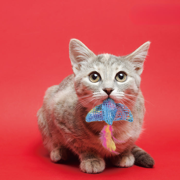 ユーゴー　猫用おもちゃ　レイ