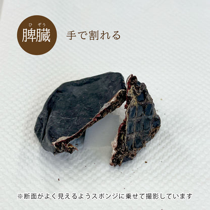 ナチュラルグレイス　エゾシカ　脾臓　30g