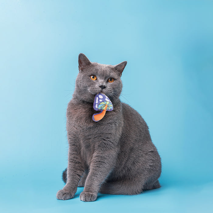 ユーゴー　猫用おもちゃ　マッシュルーム🍄