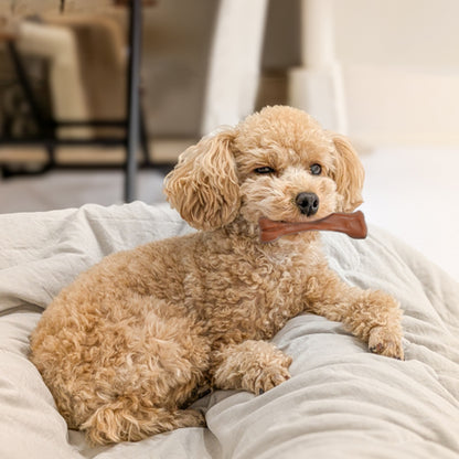 ループ　犬用おもちゃ　デンタル　スパイキーボーン