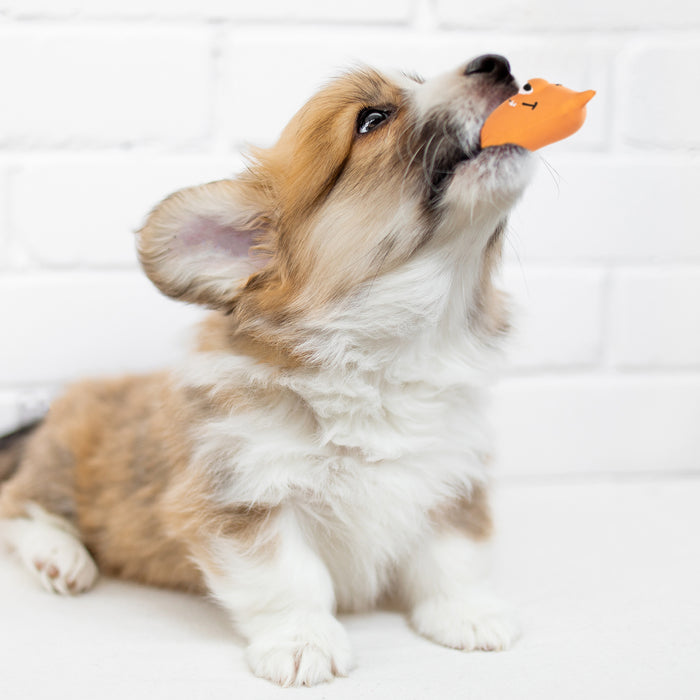 ループ　犬用おもちゃ　プーピーズ　パンキー　オレンジ