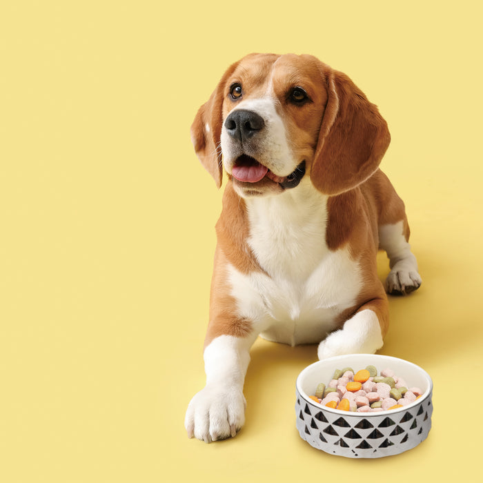 ユーゴー　セラミックボウルS（400ml）