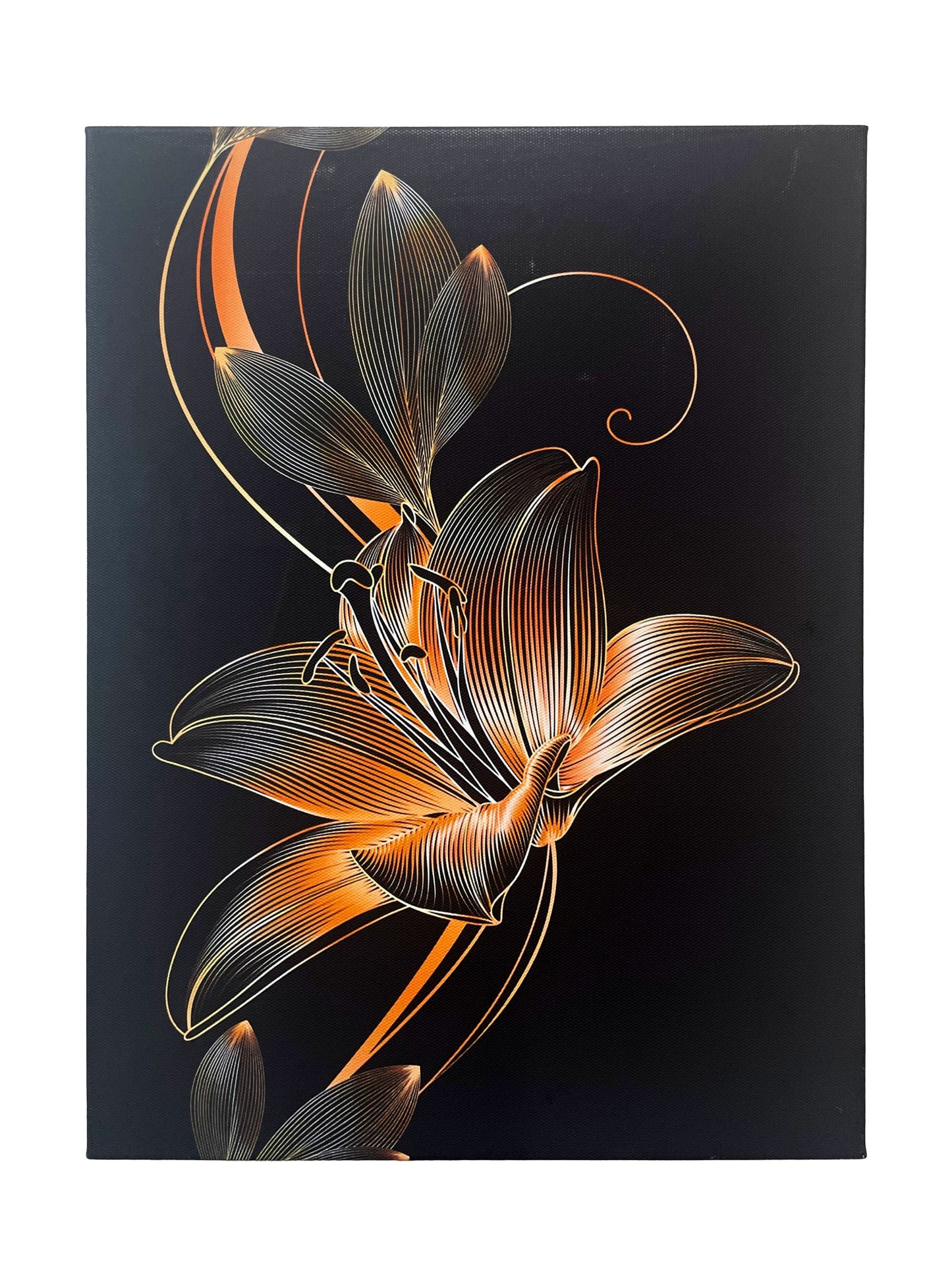 23053 漆黒に咲く一輪の花 アートパネル 絵画 絵 アートフレーム 壁掛け装飾 贈り物 ギフト 装飾画 (幅30cm×高さ40cm) (23053 漆黒に咲く一輪の花, 幅30cm×高さ40cm)