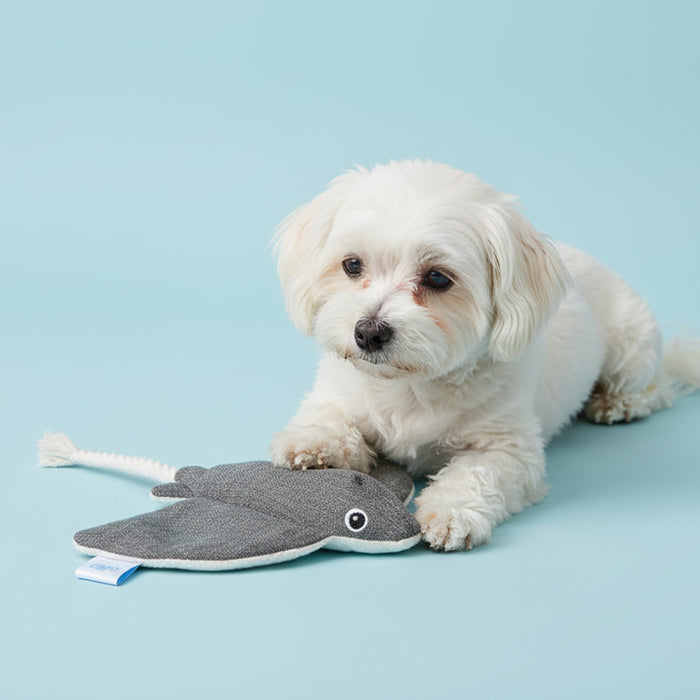 ユーゴー　キャンバスレイ