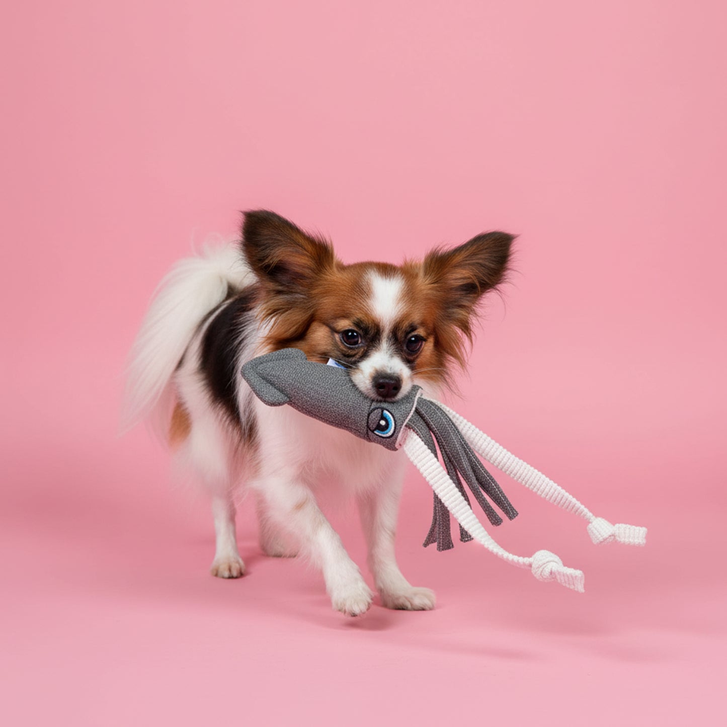 ユーゴー　犬用おもちゃ　キャンバススクイッド🦑