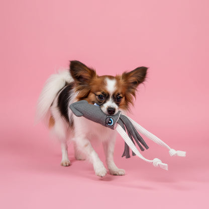 ユーゴー　犬用おもちゃ　キャンバススクイッド🦑