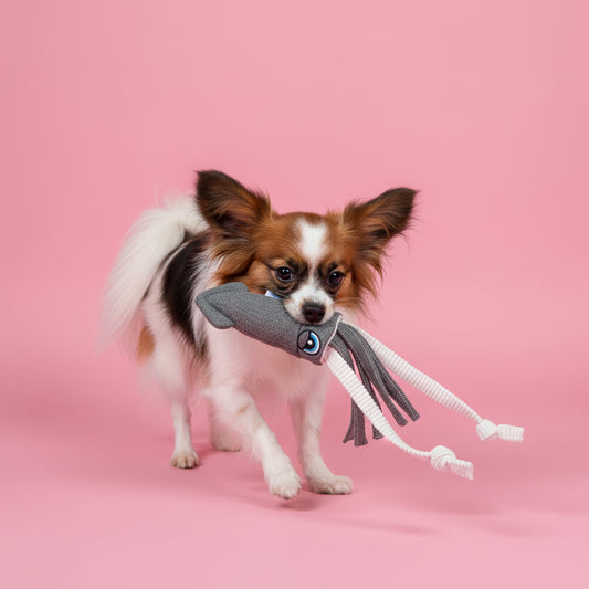 ユーゴー　犬用おもちゃ　キャンバススクイッド🦑