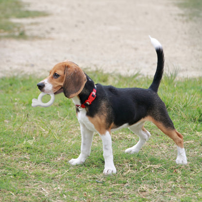 ループ　犬用おもちゃ　デンタル　ヘイローボーン