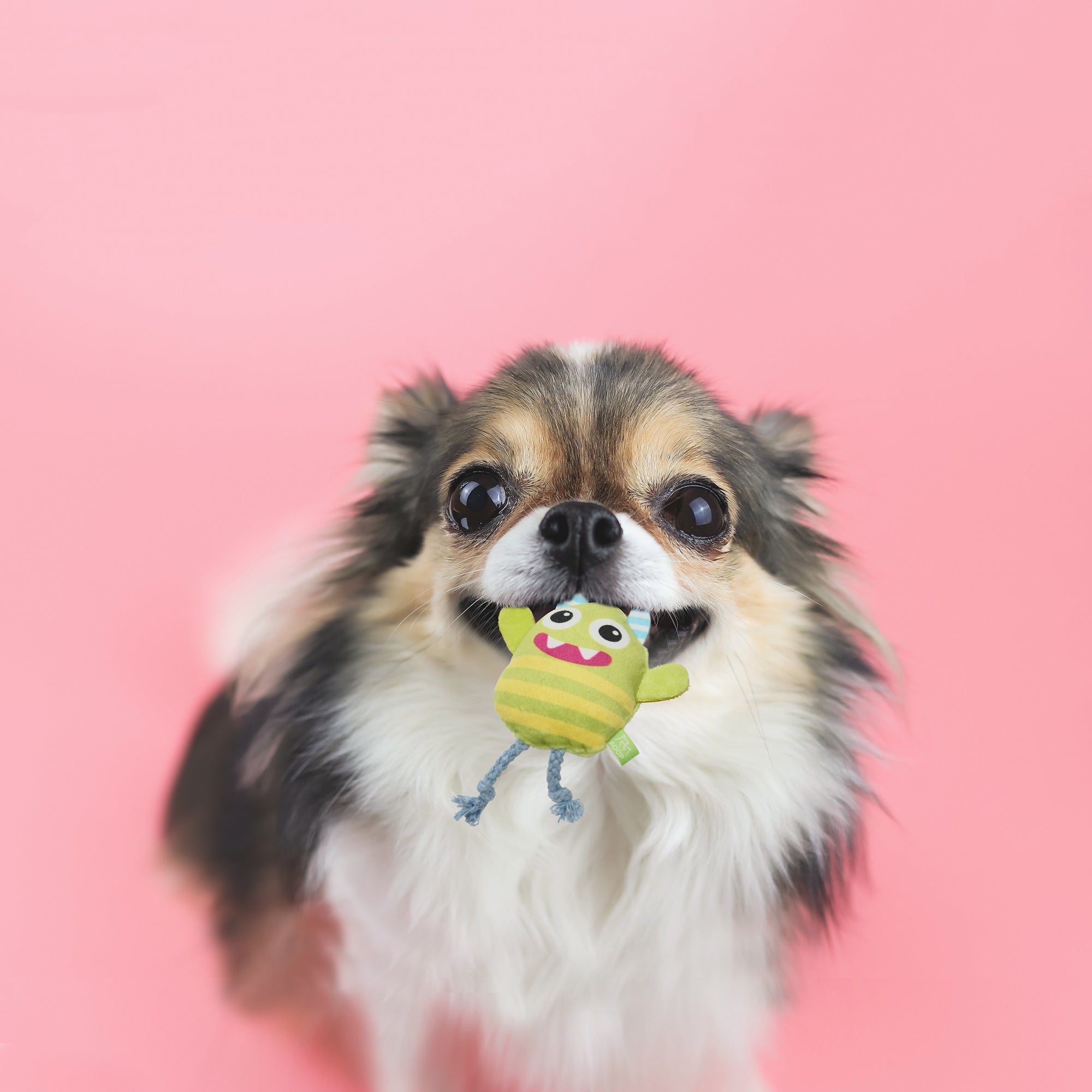 ループ 犬用おもちゃ スモル カラフルモンスター ピンク – ルークラン