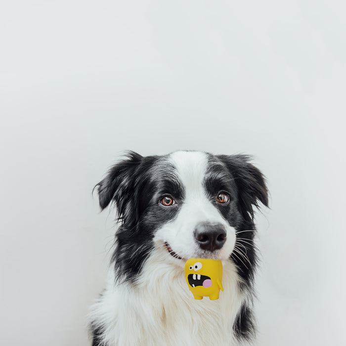 ループ　犬用おもちゃ　プーピーズ　パンキー　イエロー