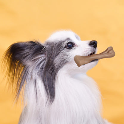 ループ　犬用おもちゃ　デンタル　スパイキーボーン