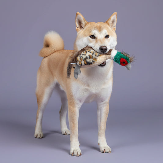 ユーゴー　犬用おもちゃ　フォレストフェザント S