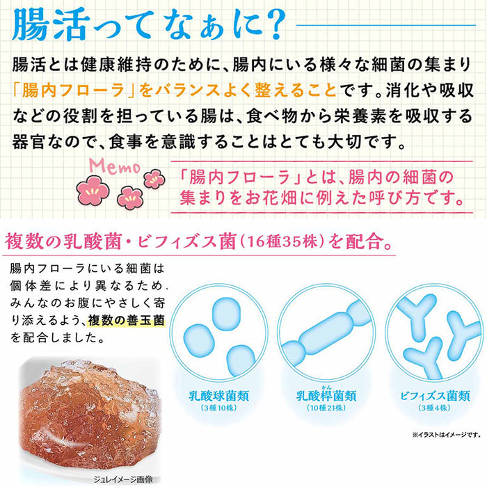 腸活生活 ウサちゃんジュレ 小松菜＆りんご 3g×10個