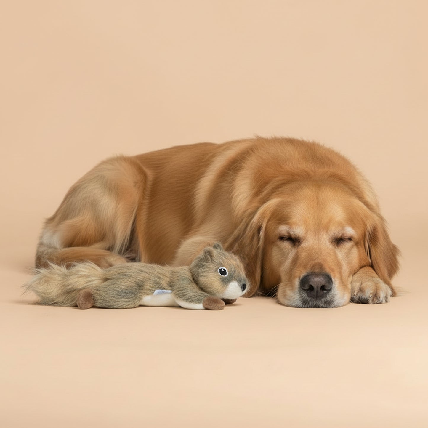 ユーゴー　犬用おもちゃ　フォレストスクワール S