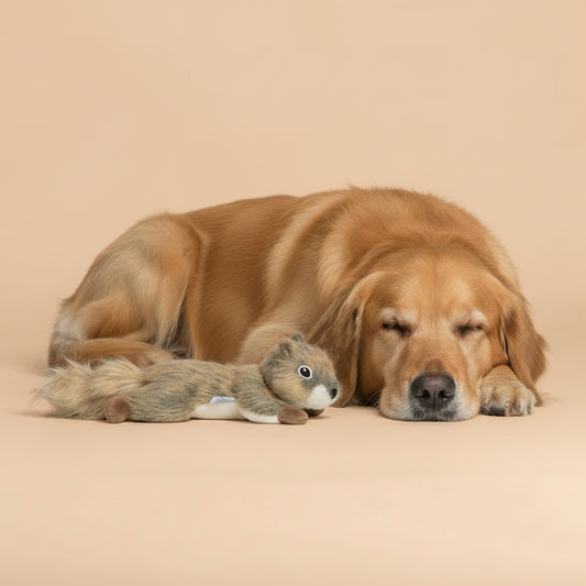 ユーゴー　犬用おもちゃ　フォレストスクワール S