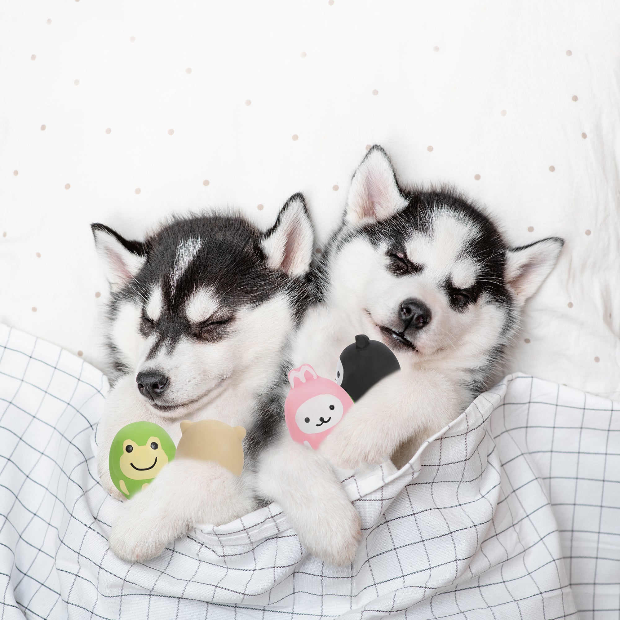 ループ 犬用おもちゃ プーピーズ かえる – ルークランオンライン