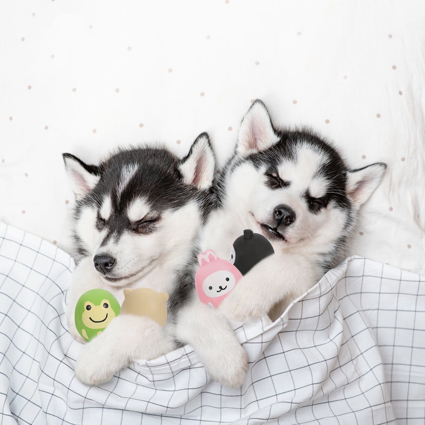 ループ　犬用おもちゃ　プーピーズ　ミニぶた
