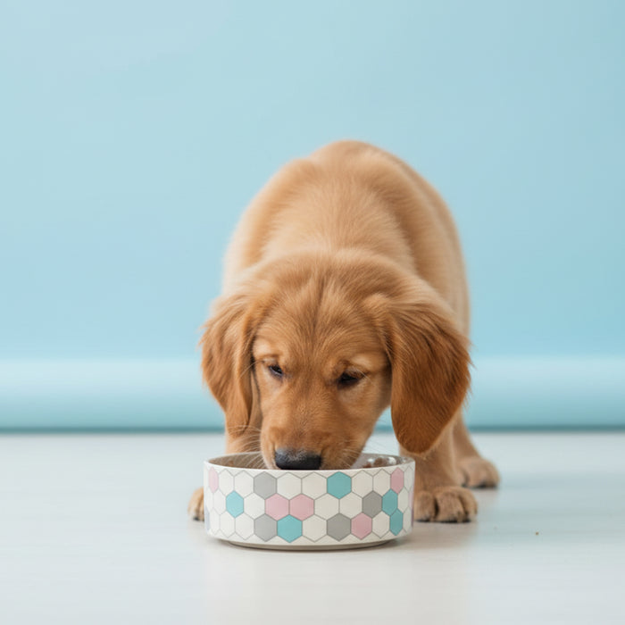 ユーゴー　セラミックボウル S（300ml）