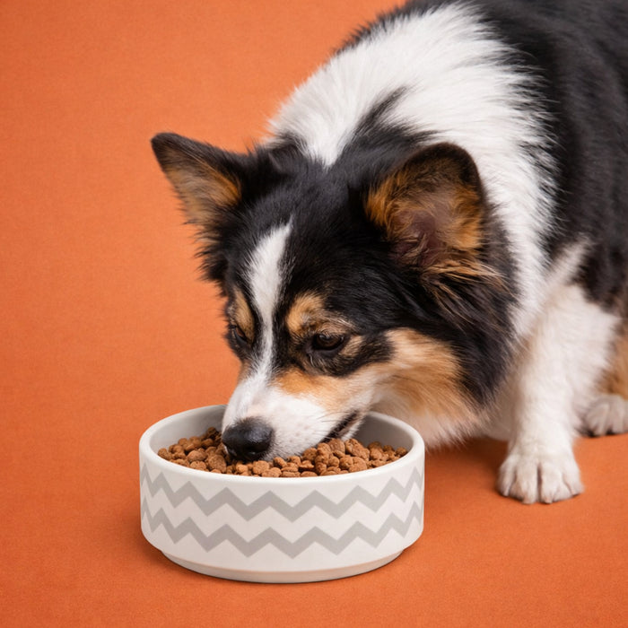 ユーゴー　セラミックボウル S（300ml）