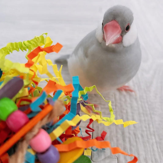 ループ　バディ　ハッチデイハット