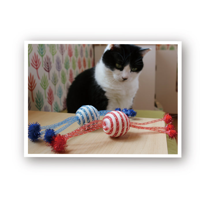 ループ　猫用おもちゃ　ファニーズ　キャンディーリボン（２個セット）