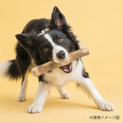ループ　犬用おもちゃ　カフェウッド　チャンプ
