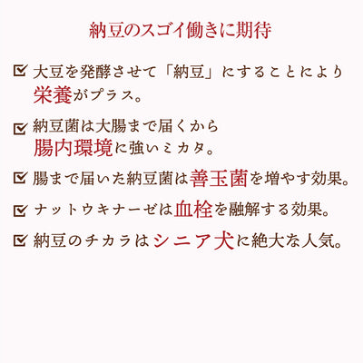 犬猫用　まぜまぜ納豆パウダー