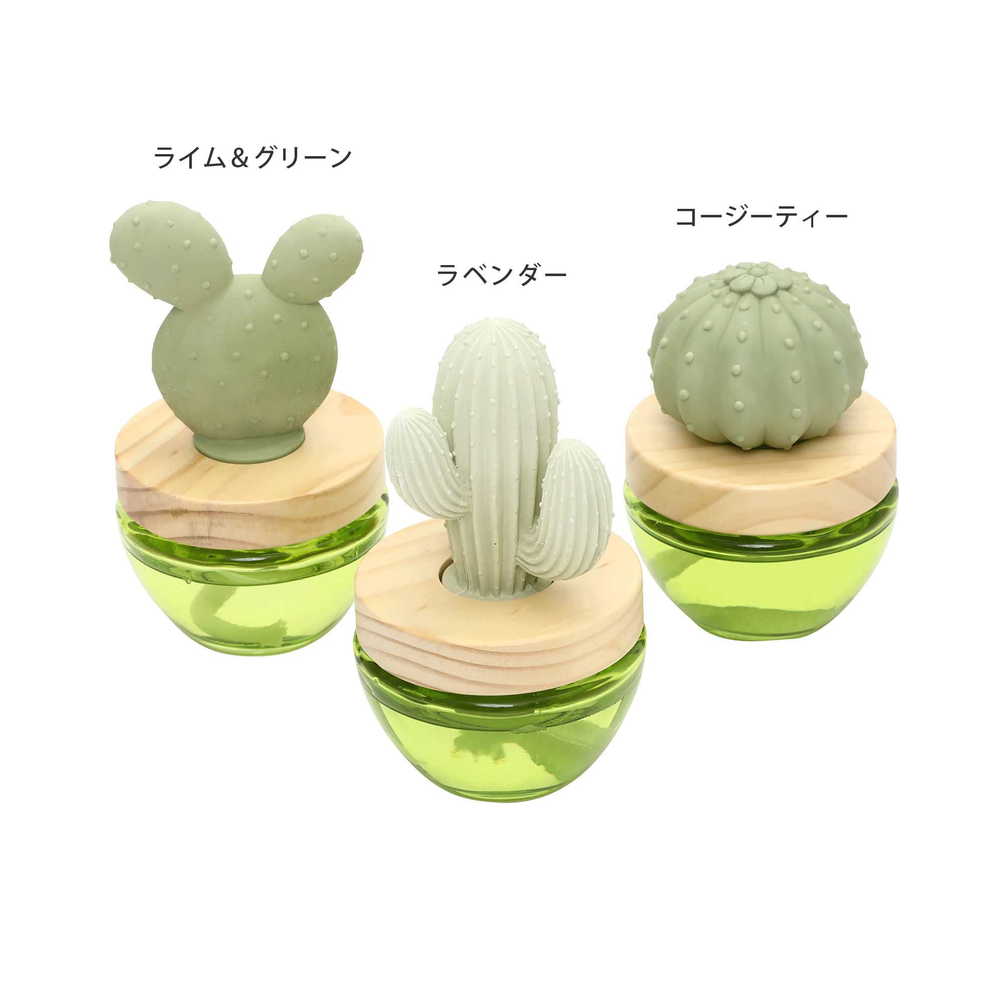 アプリクス カクタスディフューザー ライム＆グリーン – ルークラン