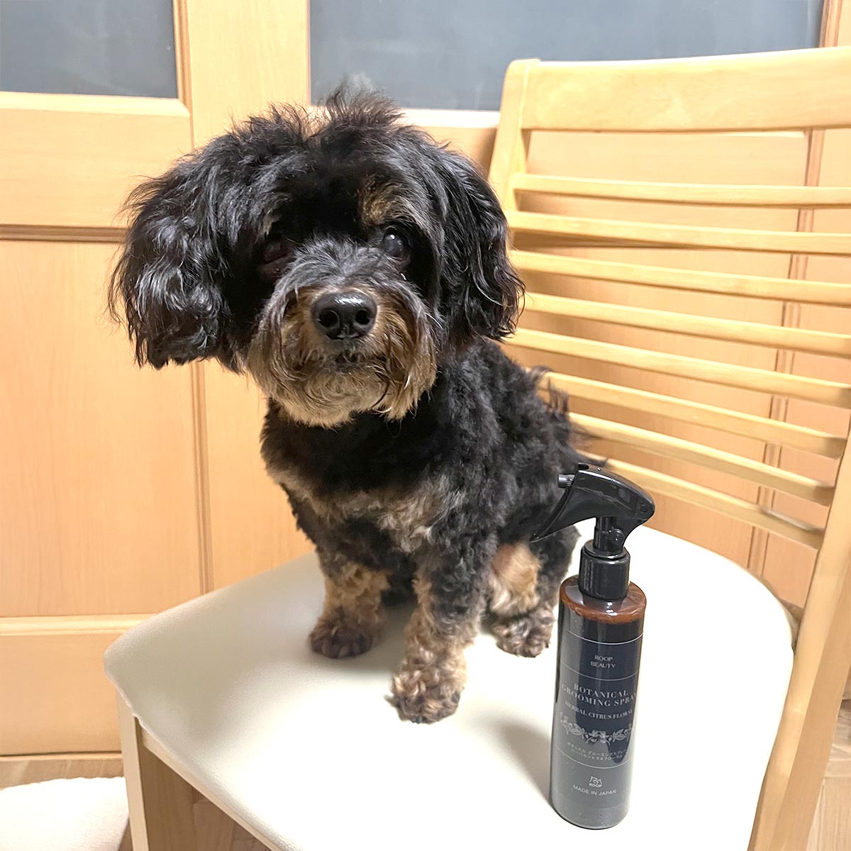 ループ ビューティー ボタニカル グルーミングスプレー