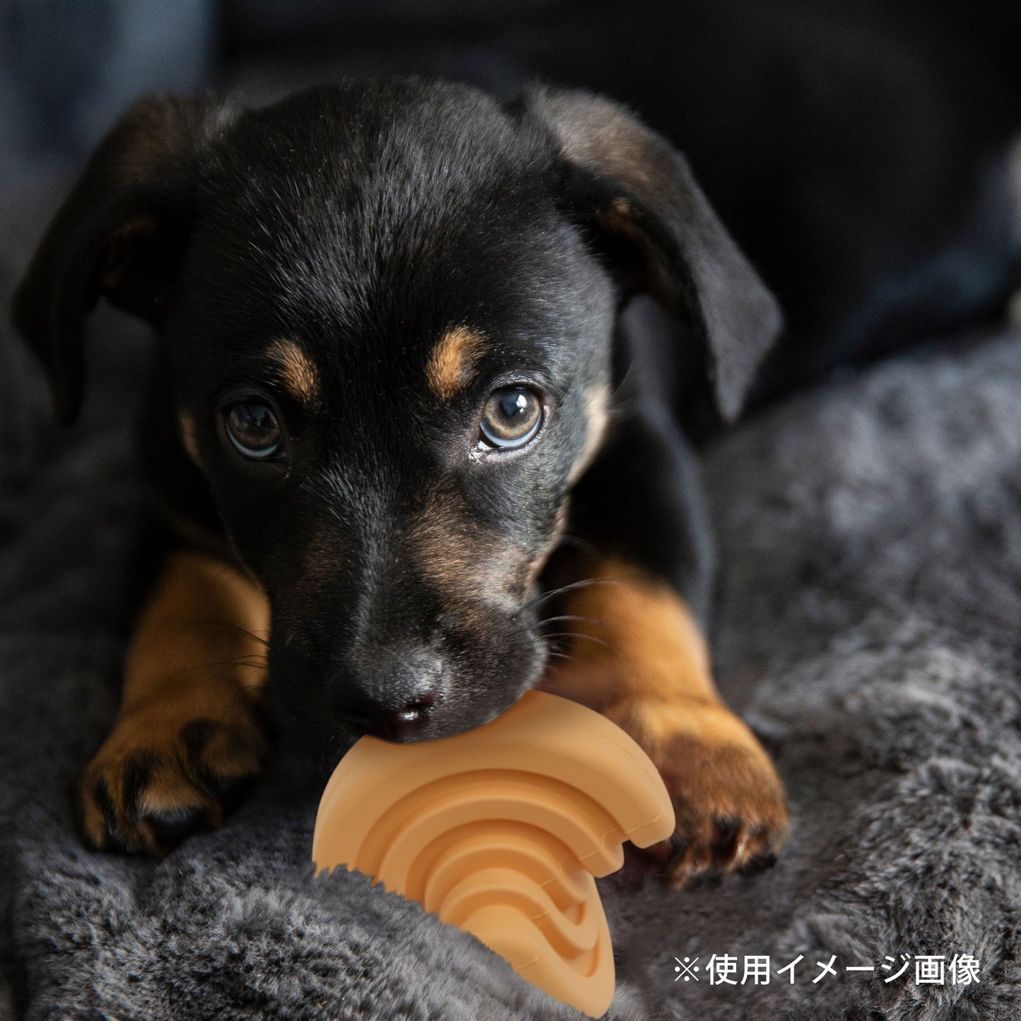 ループハウンズプラス　犬用おもちゃ　マトリックスボール