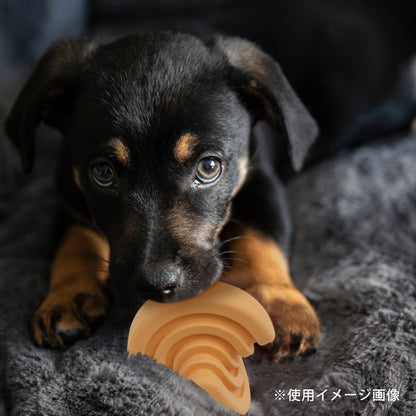 ループハウンズプラス　犬用おもちゃ　マトリックスボール