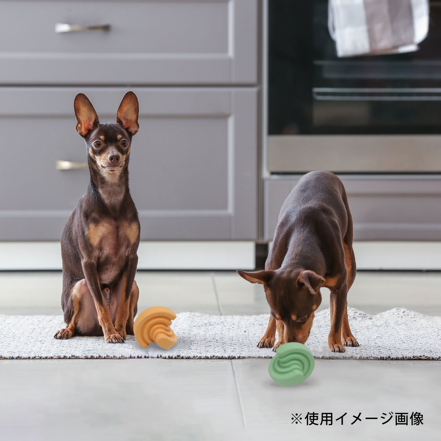 ループハウンズプラス　犬用おもちゃ　マトリックスボール