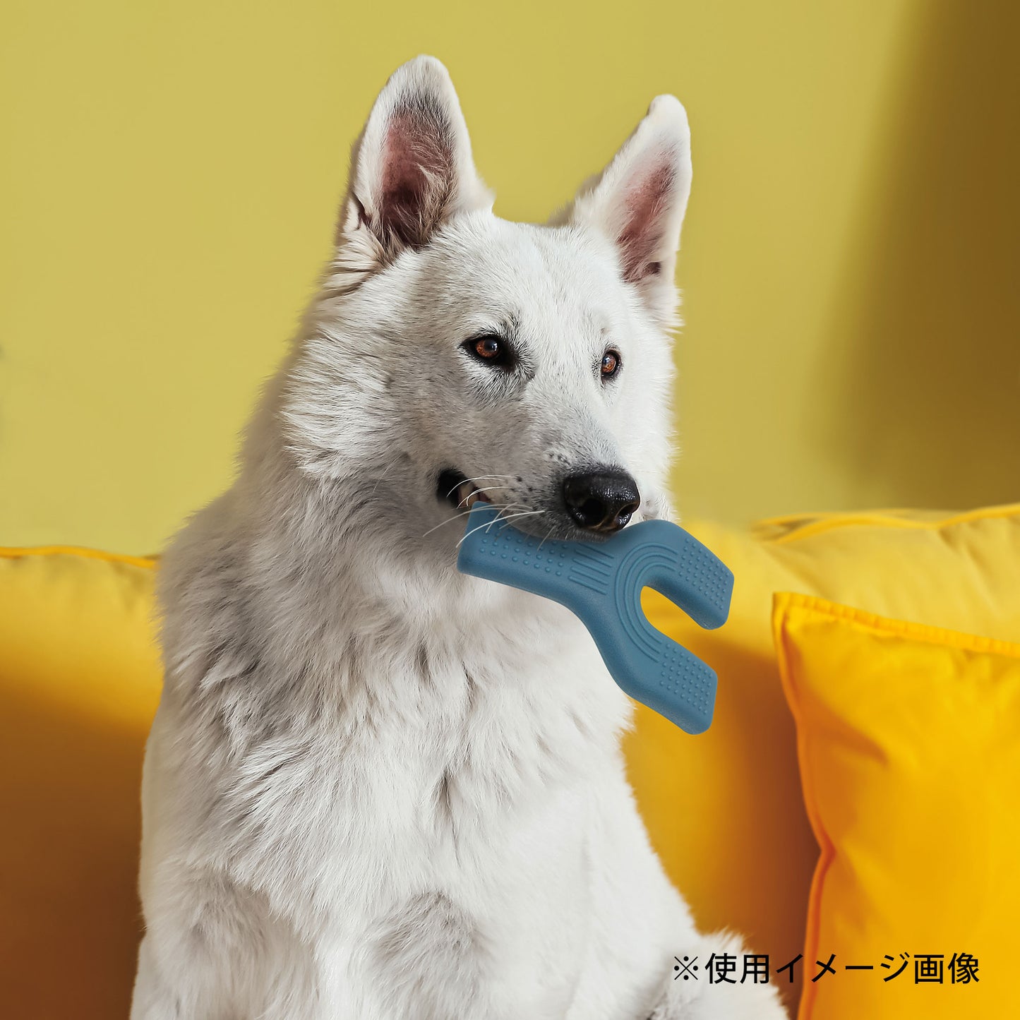 ループ　犬用おもちゃ　デンタル　ナイロンフォーク