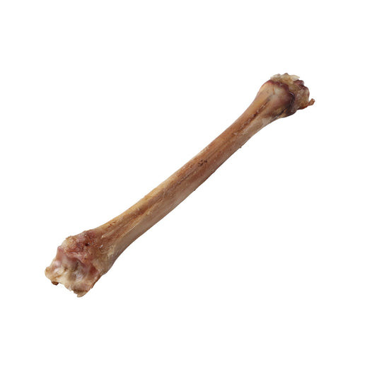 ナチュラルグレイス　エゾシカ　中手骨　1本