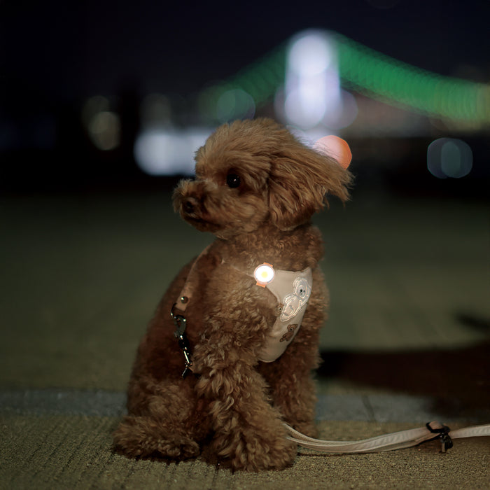 ループセイフ　ウルトラLED