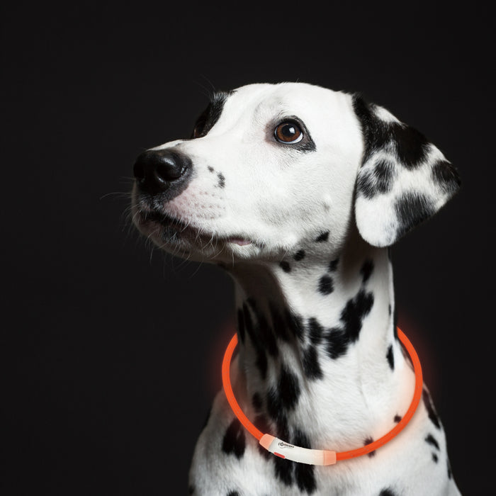 ループセイフ　LEDリング 65cm／45cm