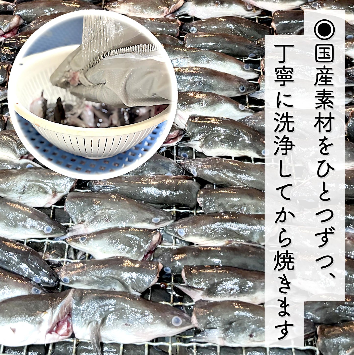 ナチュラルグレイス　うなぎ頭 40g