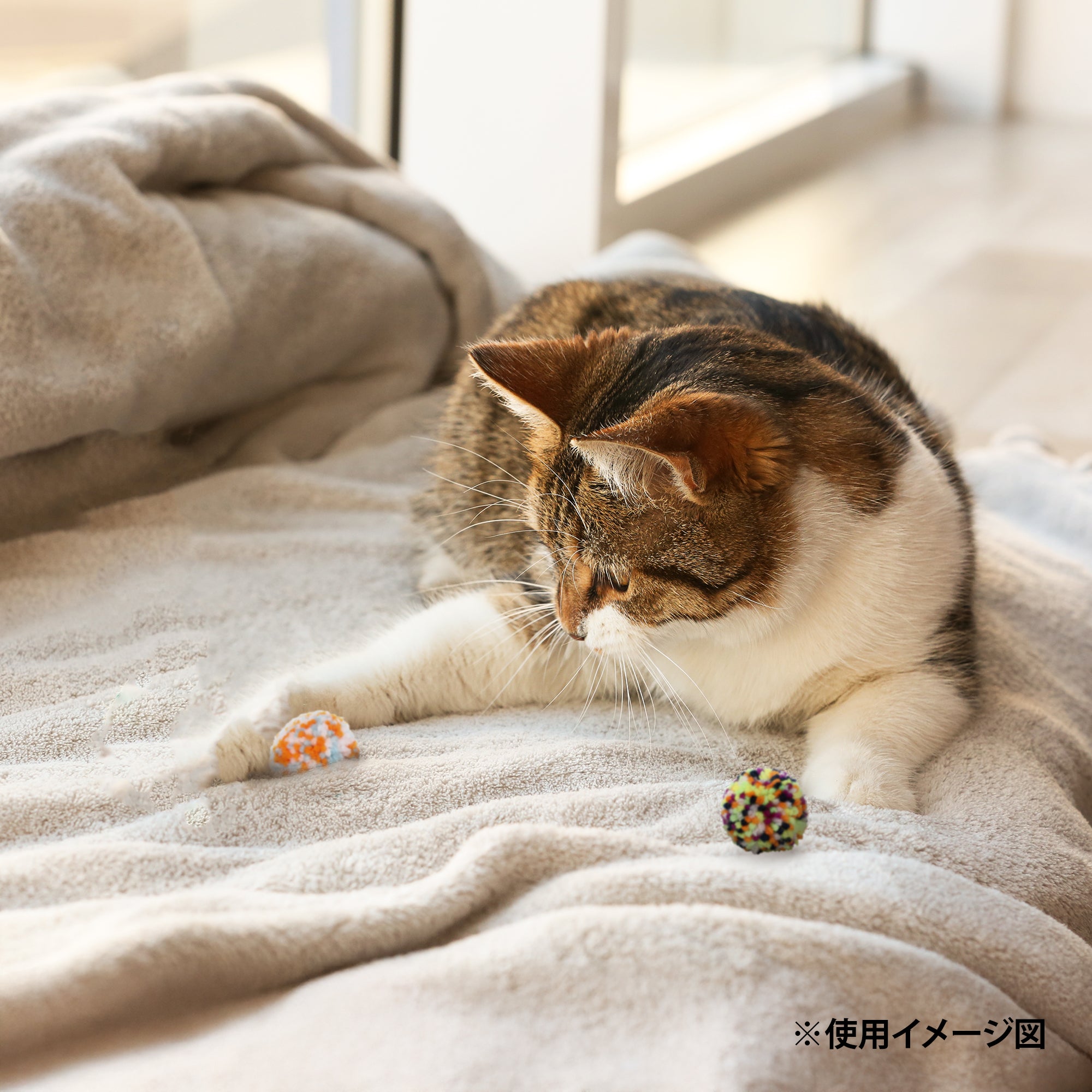 ループ 猫用おもちゃ ライト ウールボールネオ – ルークランオンライン