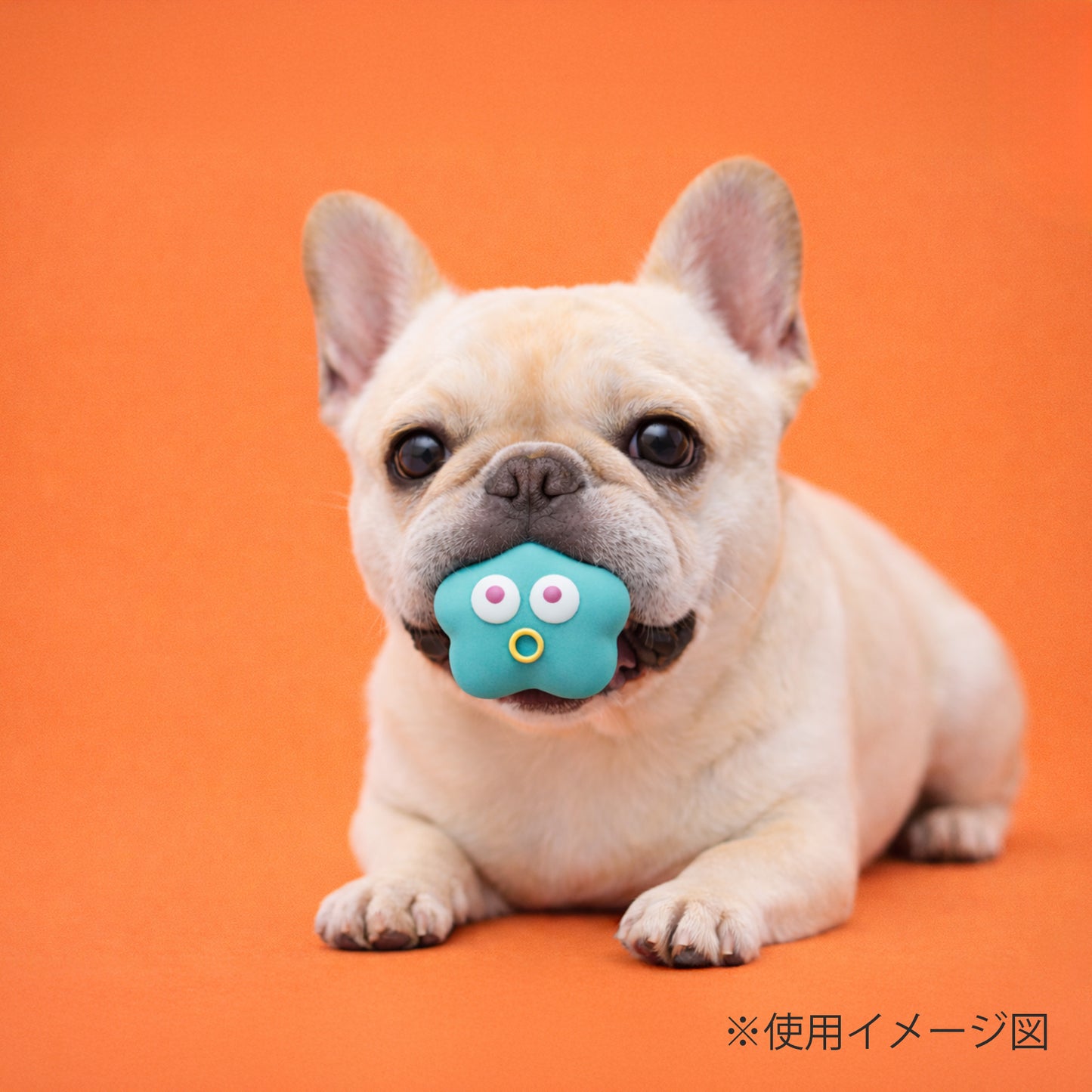 ループ　犬用おもちゃ　プーピーズ　エモーションズ