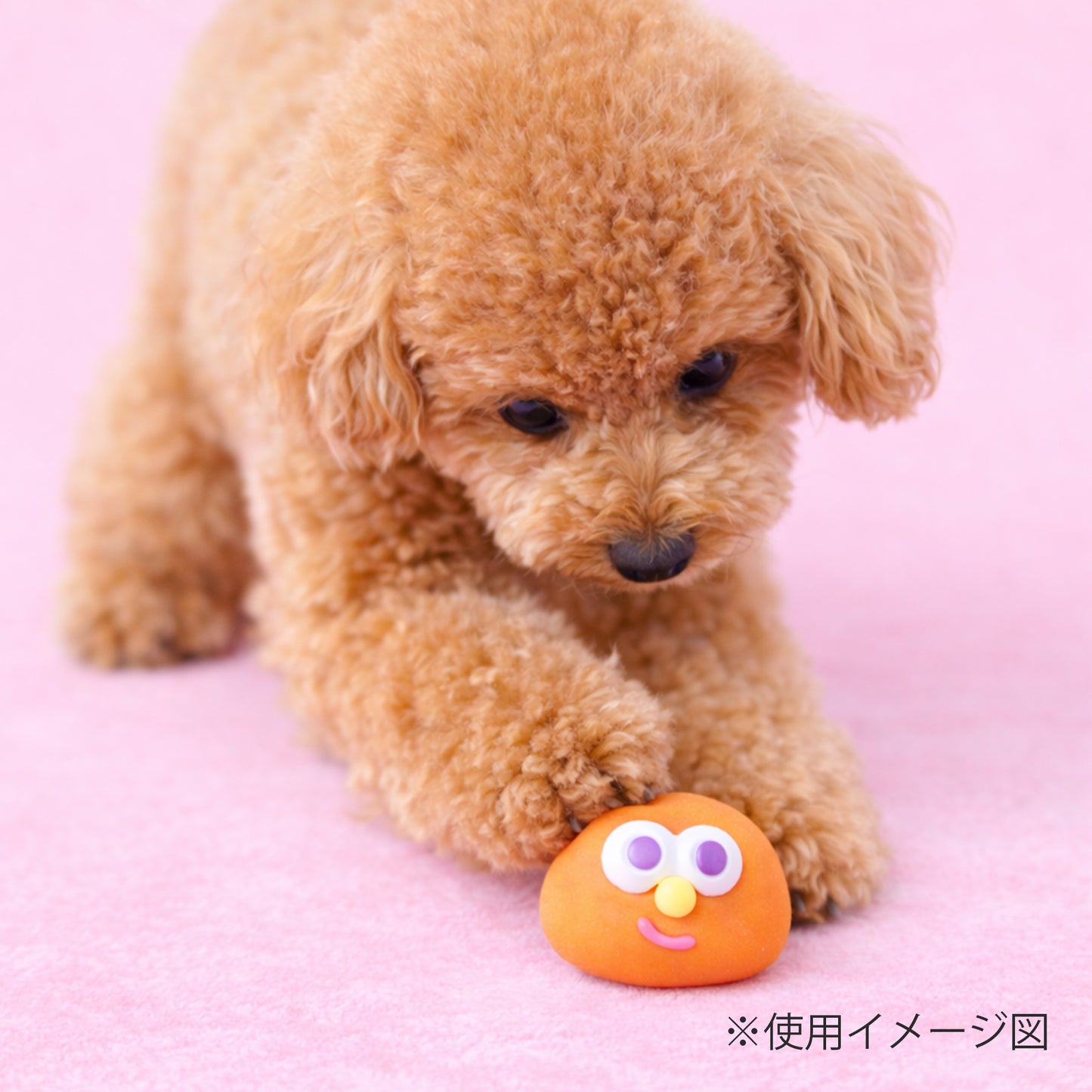 ループ　犬用おもちゃ　プーピーズ　エモーションズ