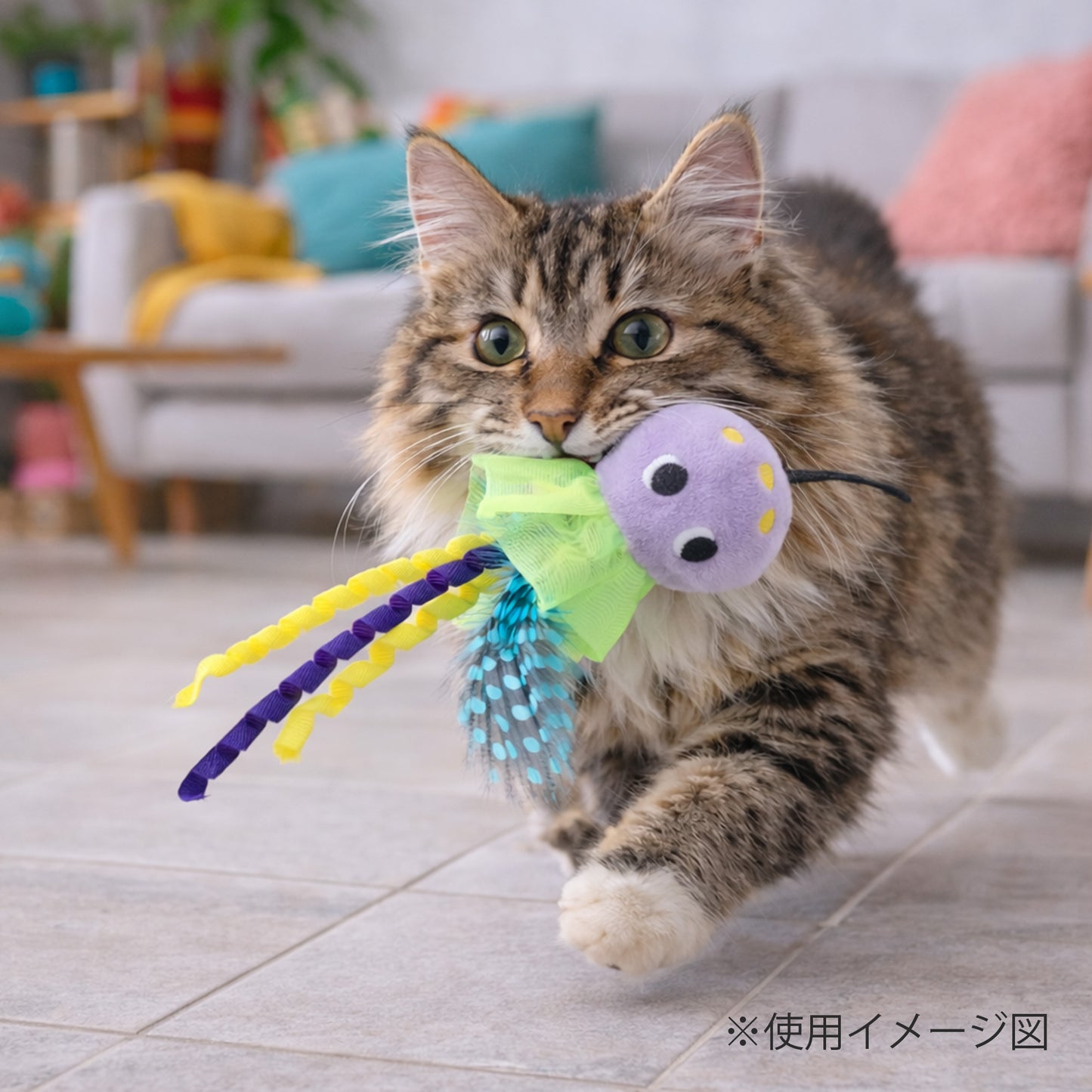 ループ　猫用おもちゃ　ファニーズ　ジェリーフィッシュ
