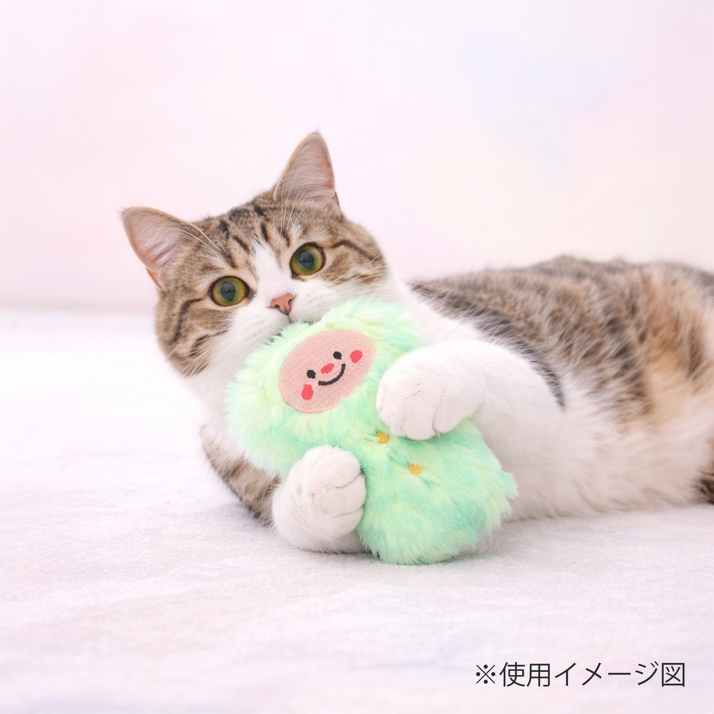 ループ　猫用おもちゃ　ファニーズ　ブラザーズ