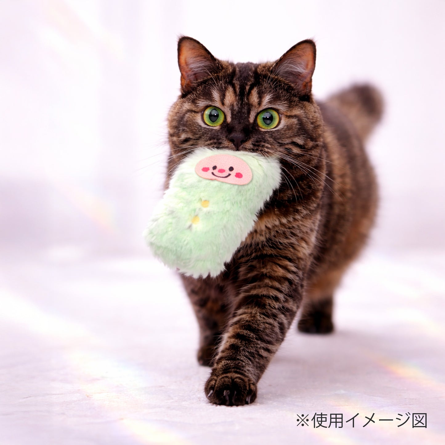 ループ　猫用おもちゃ　ファニーズ　ブラザーズ