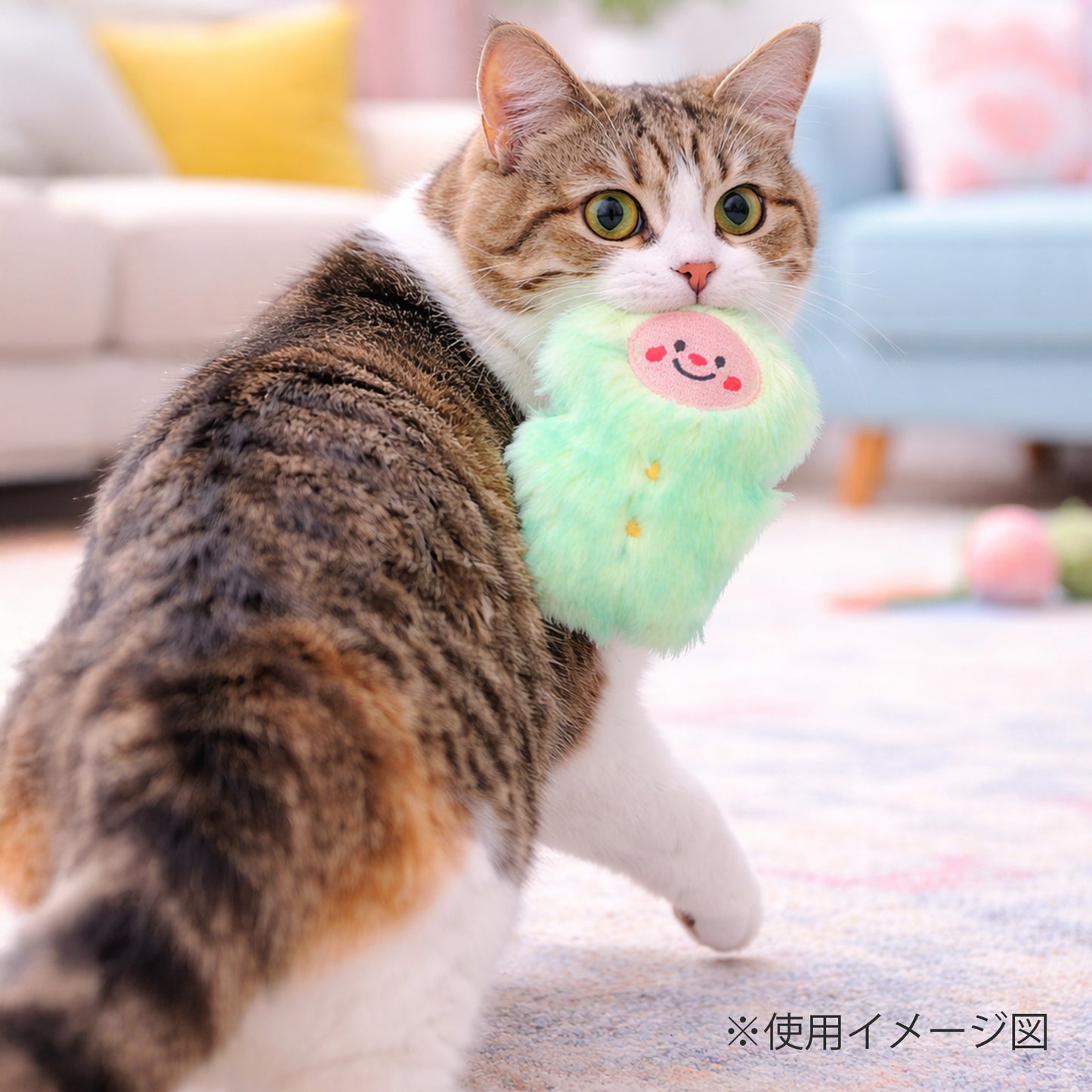 ループ　猫用おもちゃ　ファニーズ　ブラザーズ