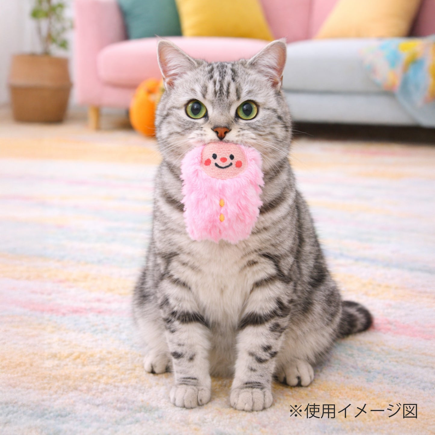 ループ　猫用おもちゃ　ファニーズ　ブラザーズ