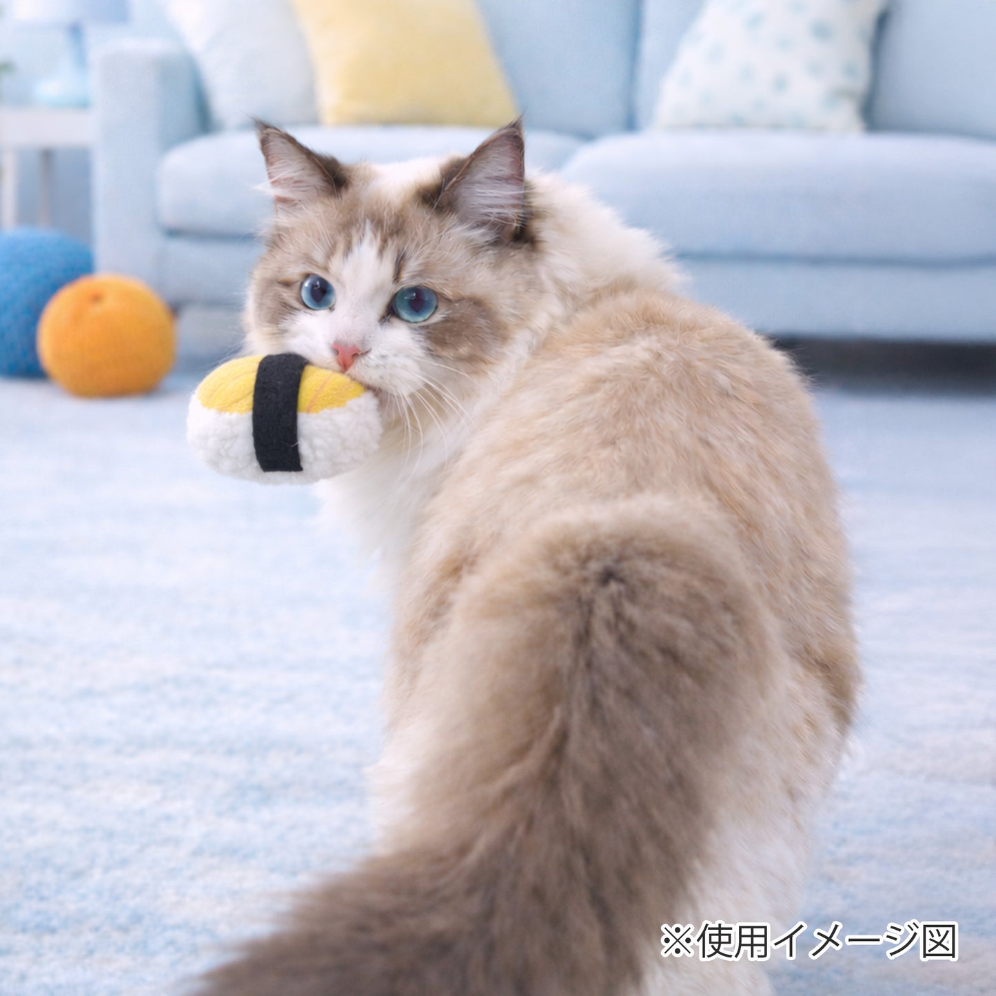 ループ　猫用おもちゃ　ファニーズ　スシセット