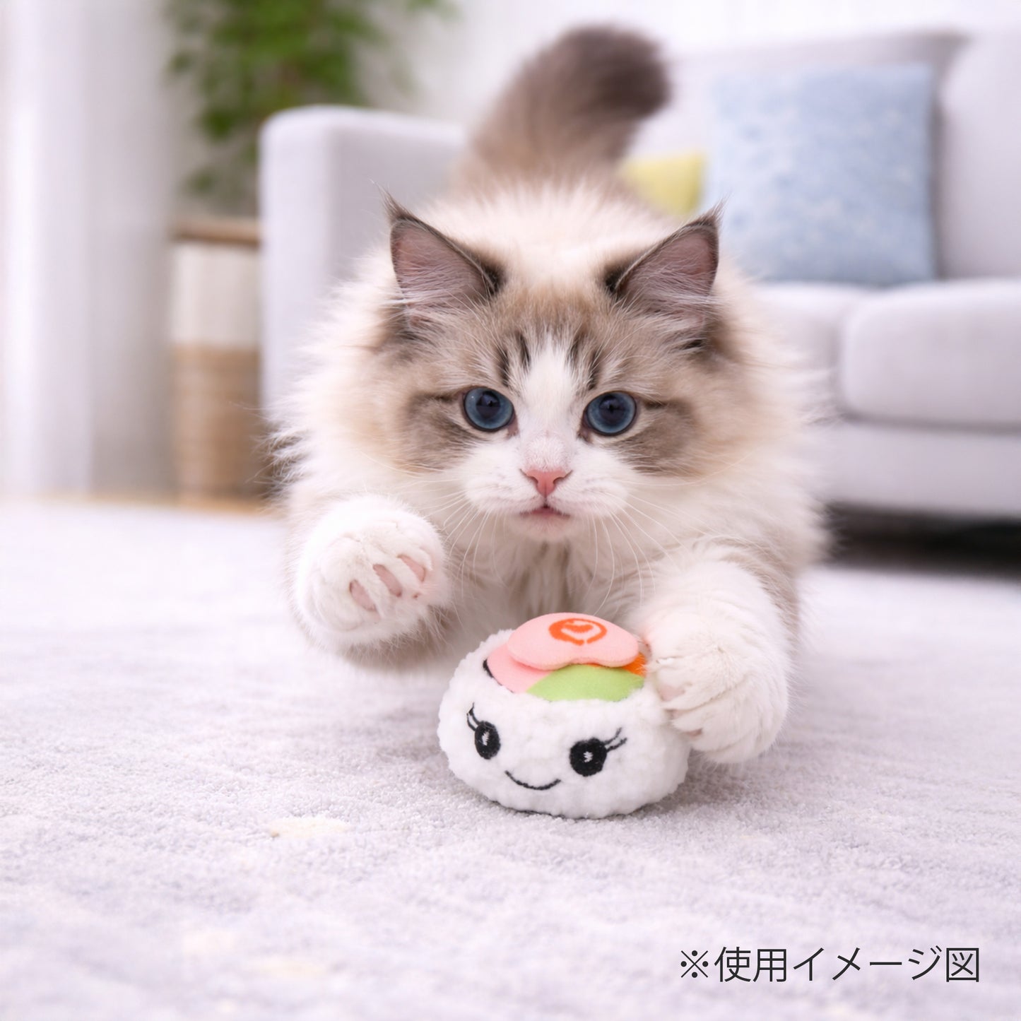 ループ　猫用おもちゃ　ファニーズ　スシセット