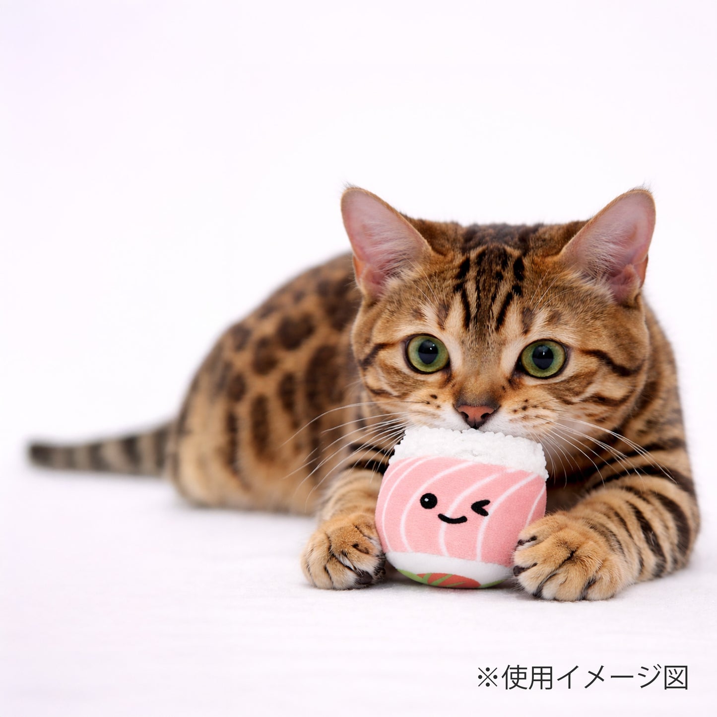 ループ　猫用おもちゃ　ファニーズ　スシセット