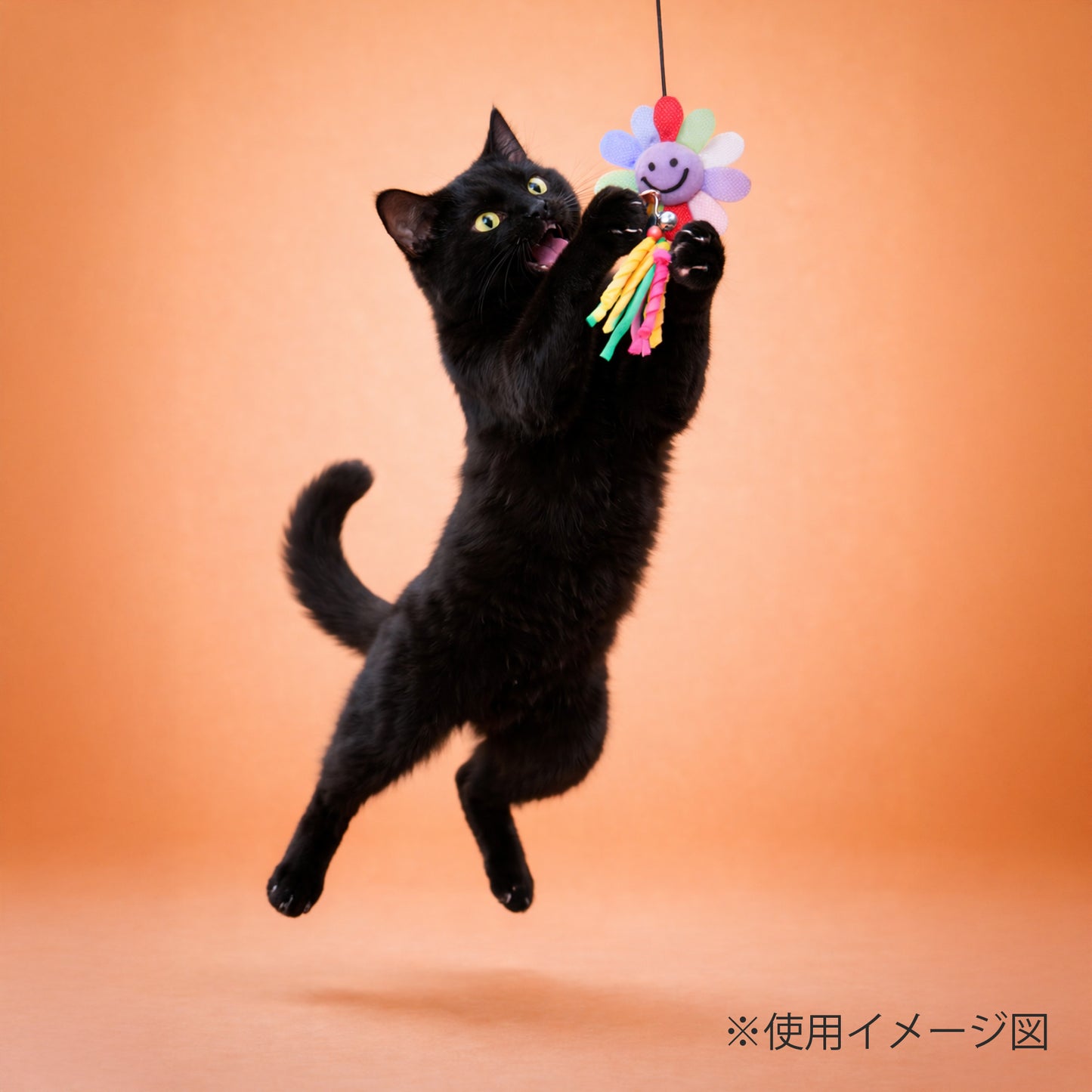 ループ　猫用おもちゃ　ロッディーズ　スマイリー